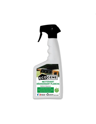 NETTOYANT PLANCHA PULVE 500 ML